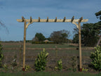 Corbel Single Beam Pergola, Plant Climbing Arbour - Sculpted brace
