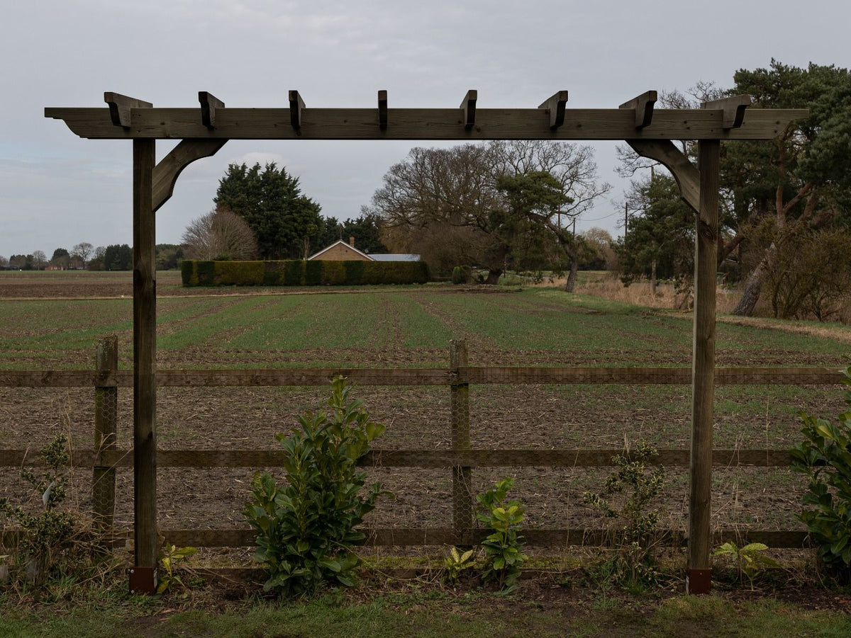 Sculpted Double Beam Pergola & Plant Climbing Arbour