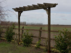 Sculpted Double Beam Pergola & Plant Climbing Arbour