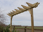 Sculpted Double Beam Pergola & Plant Climbing Arbour
