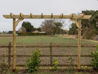 Corbel Double Beam Pergola, Plant Climbing Arbour - Sculpted brace