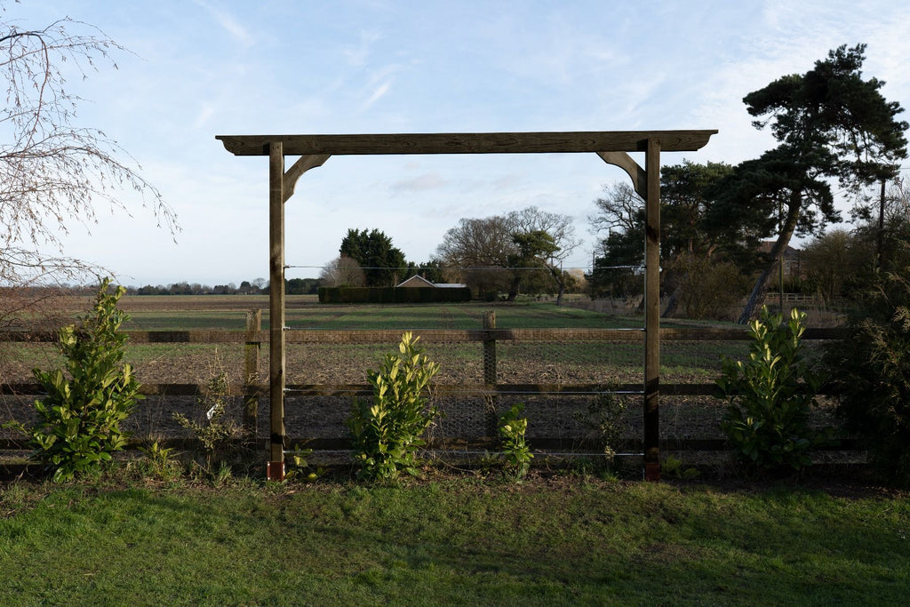 Screen Pergola, Plant Climbing Arbour - Longhorn Sculpted Brace